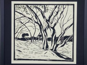 Read more about the article Snow Gums in the Snow