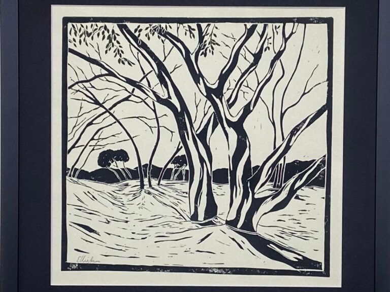 Read more about the article Snow Gums in the Snow