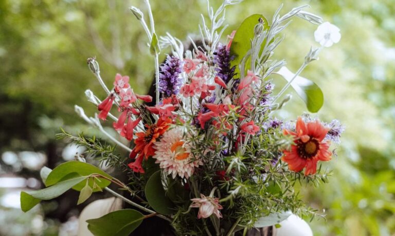 Read more about the article Springtime Blooms